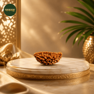 Pavanam 1 Mukhi Nepali Rudraksha – Shiv Tattva | Clarity & Awakening Bead