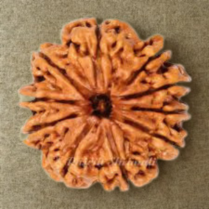 Pavanam 10 Mukhi Nepali Rudraksha – Vishnu Kavach | Protection & Life Balance Bead