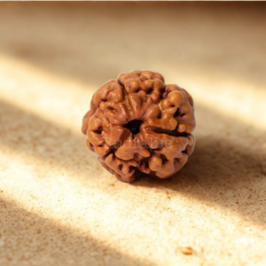 Pavanam 3 Mukhi Nepali Rudraksha – Agni Shuddhi | Inner Strength & Release Bead