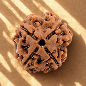 Pavanam 4 Mukhi Nepali Rudraksha – Brahma Gyaan | Focus & Learning Bead