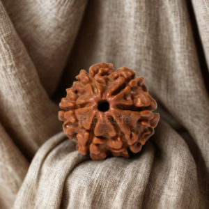 Pavanam 6 Mukhi Nepali Rudraksha – Kartikeya Shakti | Confidence & Discipline Bead