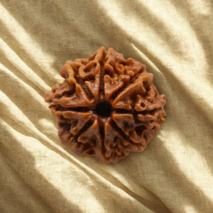 Pavanam 8 Mukhi Nepali Rudraksha – Ganesh Siddhi | Success & Obstacle Removal Bead